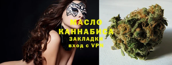 гидра Дмитров