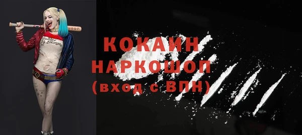 кокс Дмитриев