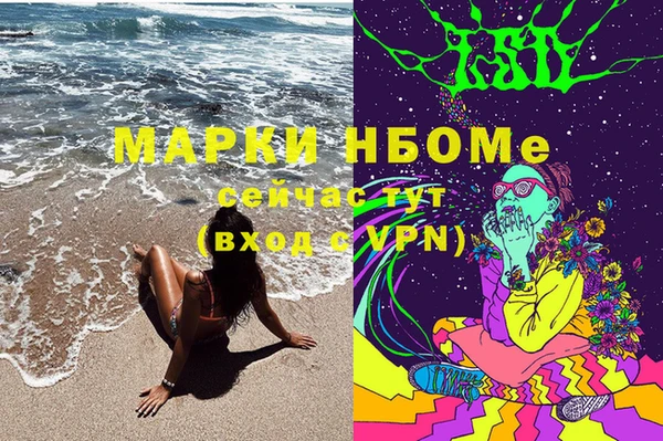гидра Дмитров