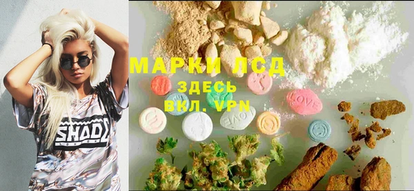 гидра Дмитров