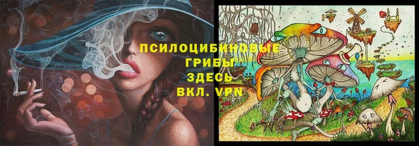 кокс Дмитриев