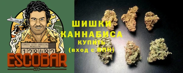 гидра Дмитров