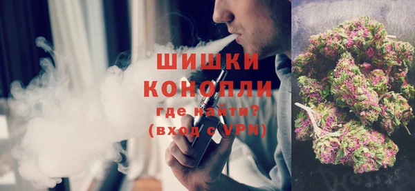 гидра Дмитров