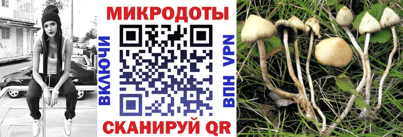 что такое наркотик  Златоуст  Галлюциногенные грибы Psilocybine cubensis 
